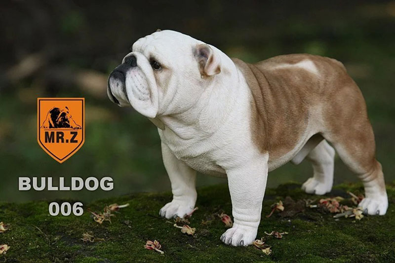 Mr.Z 1/4 Simulation Animal dog Bulldog Models Toy Gift Model For Action Figure Scene Car Decoration Accessories indoor Ornaments