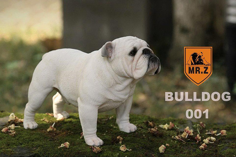 Mr.Z 1/4 Simulation Animal dog Bulldog Models Toy Gift Model For Action Figure Scene Car Decoration Accessories indoor Ornaments