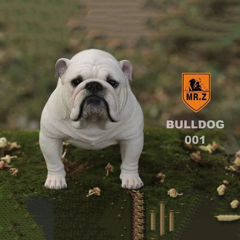 Mr.Z 1/4 Simulation Animal dog Bulldog Models Toy Gift Model For Action Figure Scene Car Decoration Accessories indoor Ornaments