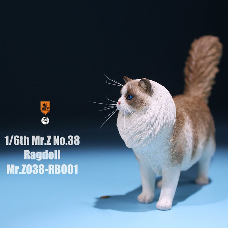 Mr.Z 038 1/6 Ragdoll Pet Cat Simulator Animal Model Cute Super Cute Ornaments for 12 Mr.Z 038 1/6 Ragdoll Pet Cat Simulator Animal Model Cute Super Cute Ornaments for 12