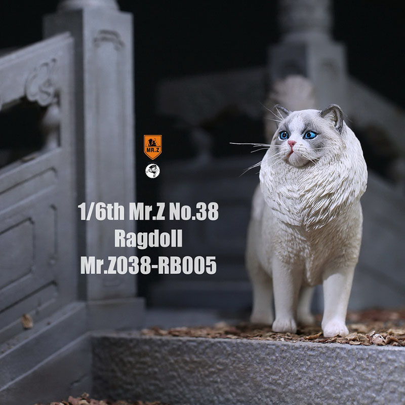 Mr.Z 038 1/6 Ragdoll Pet Cat Simulator Animal Model Cute Super Cute Ornaments for 12 Mr.Z 038 1/6 Ragdoll Pet Cat Simulator Animal Model Cute Super Cute Ornaments for 12