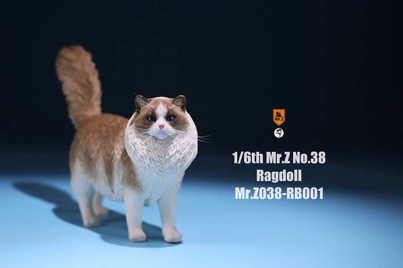 Mr.Z 038 1/6 Ragdoll Pet Cat Simulator Animal Model Cute Super Cute Ornaments for 12 Mr.Z 038 1/6 Ragdoll Pet Cat Simulator Animal Model Cute Super Cute Ornaments for 12