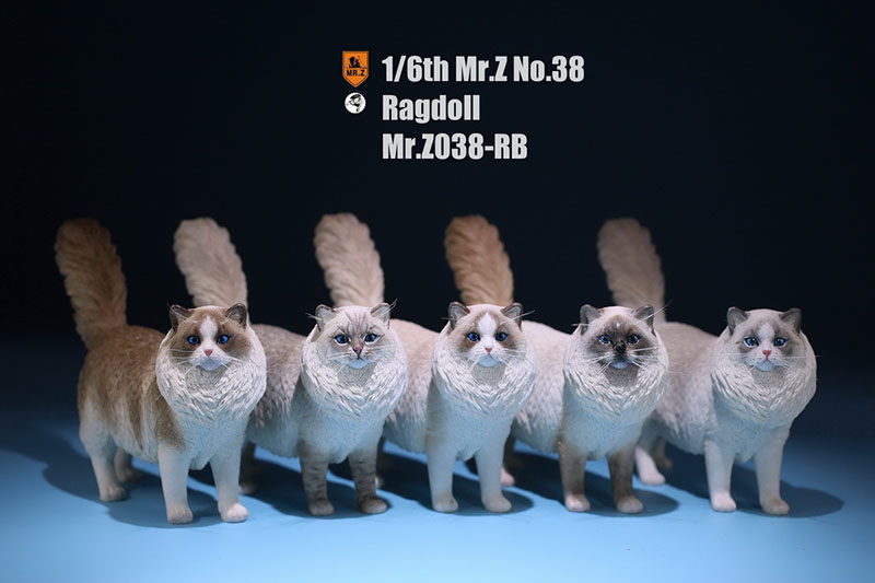 Mr.Z 038 1/6 Ragdoll Pet Cat Simulator Animal Model Cute Super Cute Ornaments for 12 Mr.Z 038 1/6 Ragdoll Pet Cat Simulator Animal Model Cute Super Cute Ornaments for 12