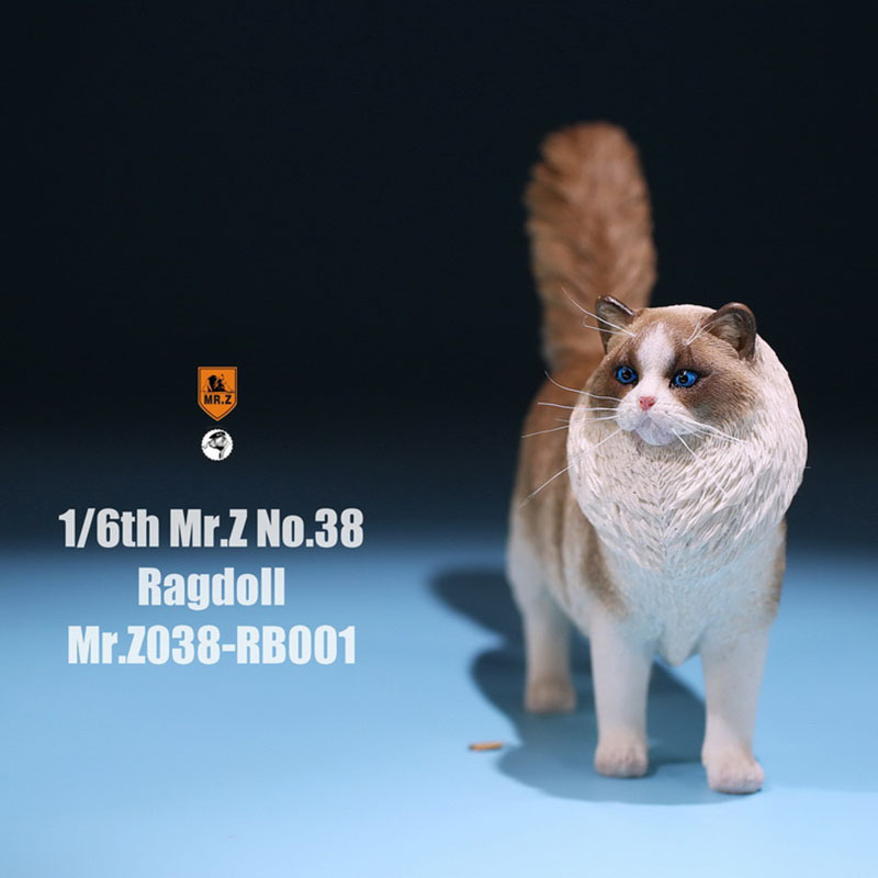 Mr.Z 038 1/6 Ragdoll Pet Cat Simulator Animal Model Cute Super Cute Ornaments for 12 Mr.Z 038 1/6 Ragdoll Pet Cat Simulator Animal Model Cute Super Cute Ornaments for 12