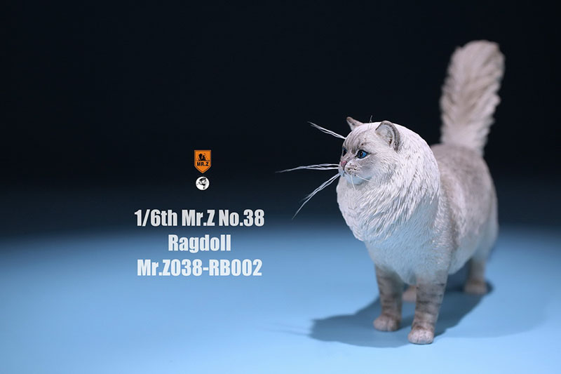 Mr.Z 038 1/6 Ragdoll Pet Cat Simulator Animal Model Cute Super Cute Ornaments for 12 Mr.Z 038 1/6 Ragdoll Pet Cat Simulator Animal Model Cute Super Cute Ornaments for 12