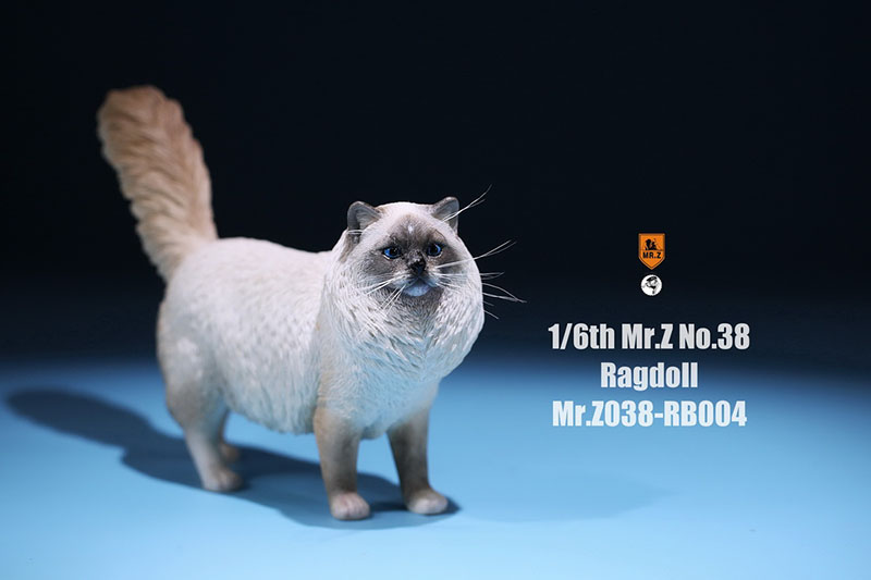 Mr.Z 038 1/6 Ragdoll Pet Cat Simulator Animal Model Cute Super Cute Ornaments for 12 Mr.Z 038 1/6 Ragdoll Pet Cat Simulator Animal Model Cute Super Cute Ornaments for 12