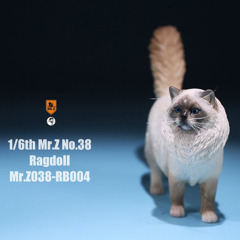 Mr.Z 038 1/6 Ragdoll Pet Cat Simulator Animal Model Cute Super Cute Ornaments for 12 Mr.Z 038 1/6 Ragdoll Pet Cat Simulator Animal Model Cute Super Cute Ornaments for 12