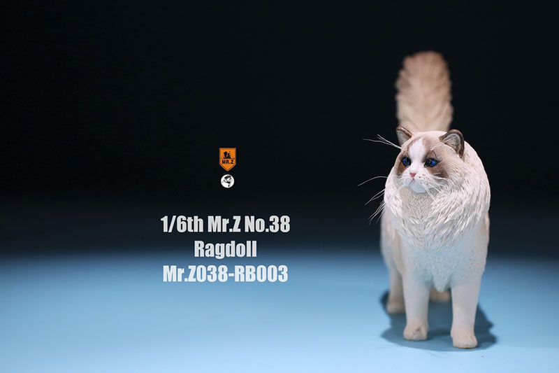 Mr.Z 038 1/6 Ragdoll Pet Cat Simulator Animal Model Cute Super Cute Ornaments for 12 Mr.Z 038 1/6 Ragdoll Pet Cat Simulator Animal Model Cute Super Cute Ornaments for 12