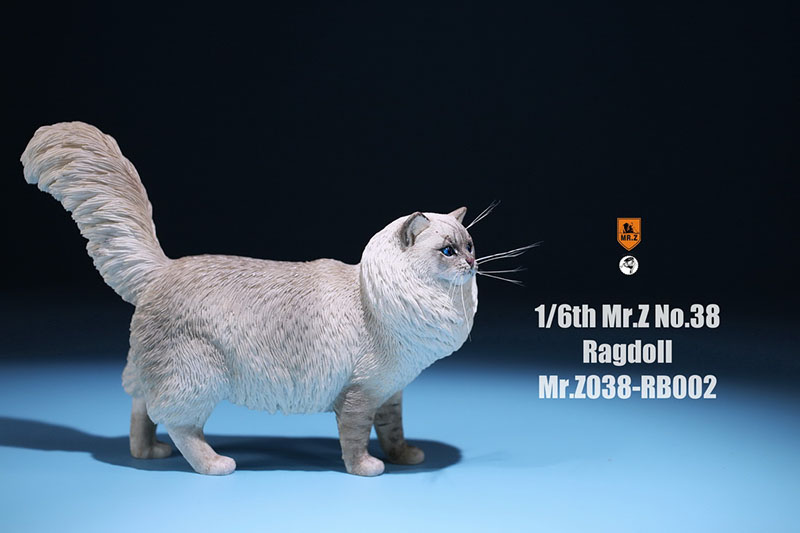 Mr.Z 038 1/6 Ragdoll Pet Cat Simulator Animal Model Cute Super Cute Ornaments for 12 Mr.Z 038 1/6 Ragdoll Pet Cat Simulator Animal Model Cute Super Cute Ornaments for 12