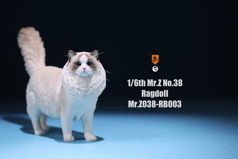 Mr.Z 038 1/6 Ragdoll Pet Cat Simulator Animal Model Cute Super Cute Ornaments for 12 Mr.Z 038 1/6 Ragdoll Pet Cat Simulator Animal Model Cute Super Cute Ornaments for 12