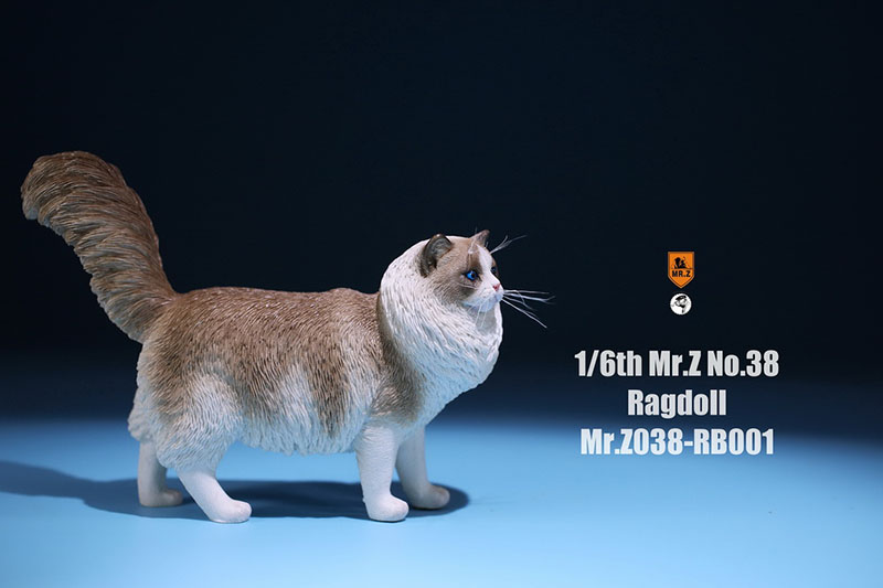 Mr.Z 038 1/6 Ragdoll Pet Cat Simulator Animal Model Cute Super Cute Ornaments for 12 Mr.Z 038 1/6 Ragdoll Pet Cat Simulator Animal Model Cute Super Cute Ornaments for 12