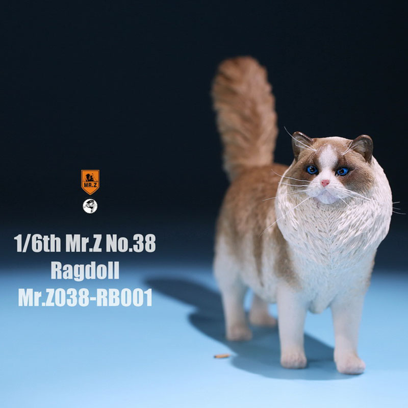 Mr.Z 038 1/6 Ragdoll Pet Cat Simulator Animal Model Cute Super Cute Ornaments for 12 Mr.Z 038 1/6 Ragdoll Pet Cat Simulator Animal Model Cute Super Cute Ornaments for 12