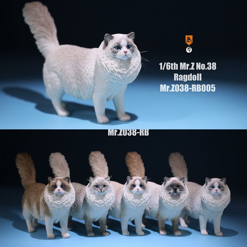 Mr.Z 038 1/6 Ragdoll Pet Cat Simulator Animal Model Cute Super Cute Ornaments for 12 Mr.Z 038 1/6 Ragdoll Pet Cat Simulator Animal Model Cute Super Cute Ornaments for 12