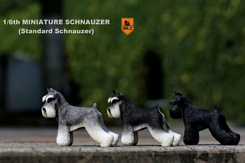 1:6 Scale Mr.Z Resin PVC Miniature Standard Schnauzer Dog Model Toy Fit 12 1:6 Scale Mr.Z Resin PVC Miniature Standard Schnauzer Dog Model Toy Fit 12