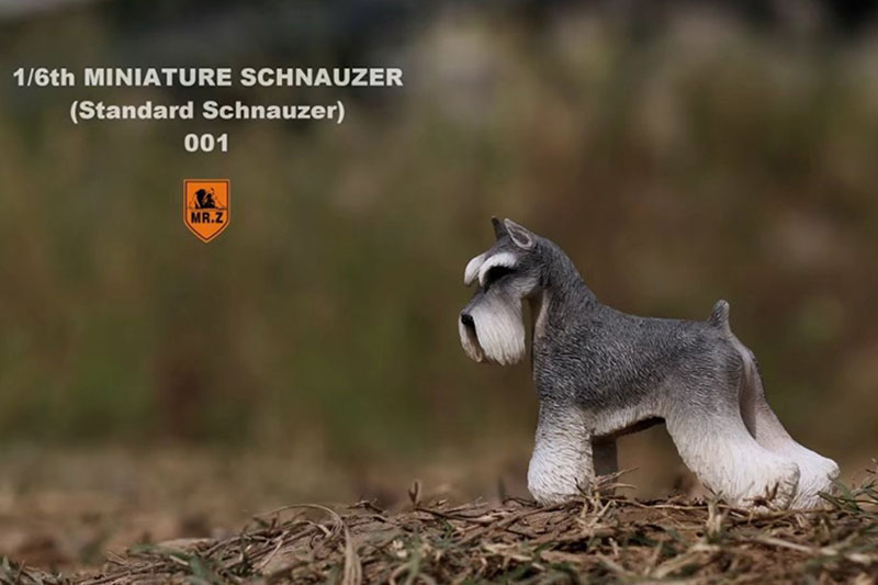 1:6 Scale Mr.Z Resin PVC Miniature Standard Schnauzer Dog Model Toy Fit 12 1:6 Scale Mr.Z Resin PVC Miniature Standard Schnauzer Dog Model Toy Fit 12