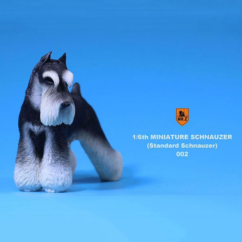 1:6 Scale Mr.Z Resin PVC Miniature Standard Schnauzer Dog Model Toy Fit 12 1:6 Scale Mr.Z Resin PVC Miniature Standard Schnauzer Dog Model Toy Fit 12