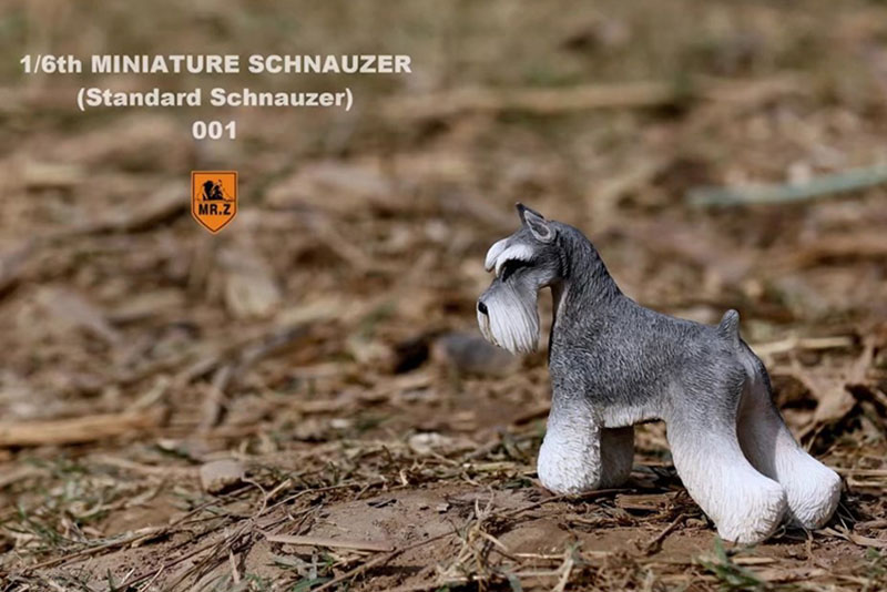 1:6 Scale Mr.Z Resin PVC Miniature Standard Schnauzer Dog Model Toy Fit 12 1:6 Scale Mr.Z Resin PVC Miniature Standard Schnauzer Dog Model Toy Fit 12