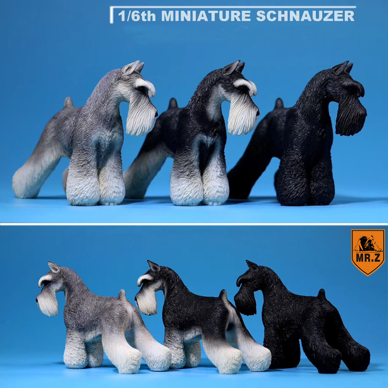 1:6 Scale Mr.Z Resin PVC Miniature Standard Schnauzer Dog Model Toy Fit 12 1:6 Scale Mr.Z Resin PVC Miniature Standard Schnauzer Dog Model Toy Fit 12