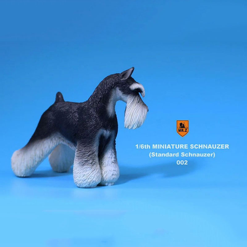 1:6 Scale Mr.Z Resin PVC Miniature Standard Schnauzer Dog Model Toy Fit 12 1:6 Scale Mr.Z Resin PVC Miniature Standard Schnauzer Dog Model Toy Fit 12