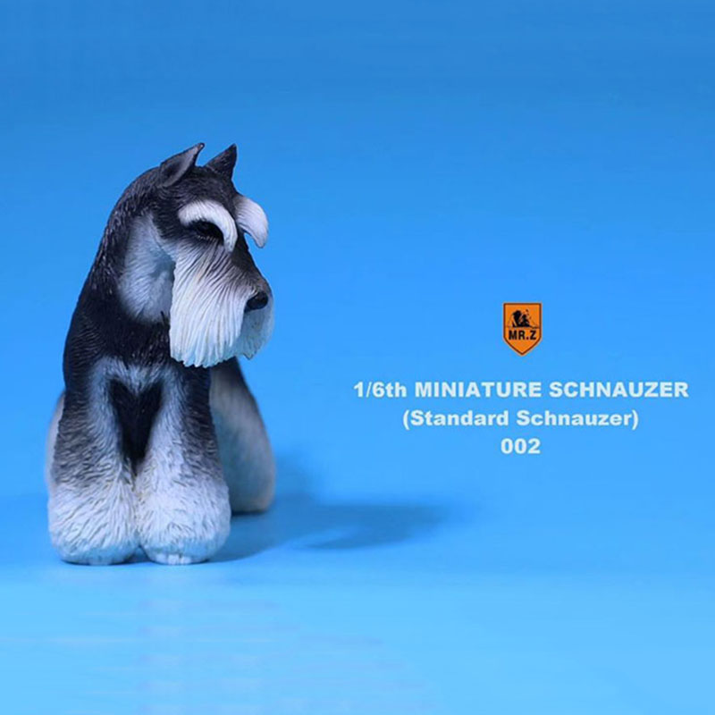1:6 Scale Mr.Z Resin PVC Miniature Standard Schnauzer Dog Model Toy Fit 12 1:6 Scale Mr.Z Resin PVC Miniature Standard Schnauzer Dog Model Toy Fit 12