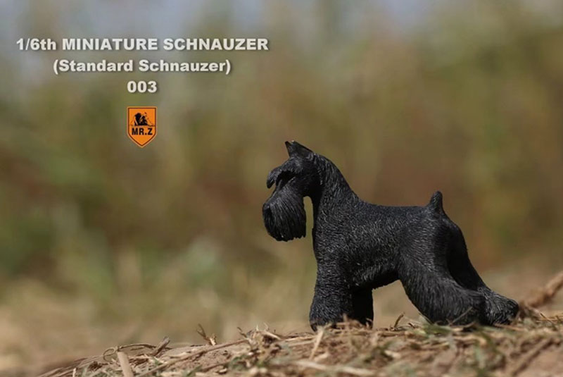1:6 Scale Mr.Z Resin PVC Miniature Standard Schnauzer Dog Model Toy Fit 12 1:6 Scale Mr.Z Resin PVC Miniature Standard Schnauzer Dog Model Toy Fit 12
