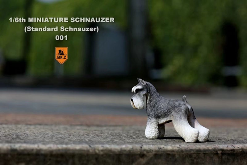 1:6 Scale Mr.Z Resin PVC Miniature Standard Schnauzer Dog Model Toy Fit 12 1:6 Scale Mr.Z Resin PVC Miniature Standard Schnauzer Dog Model Toy Fit 12