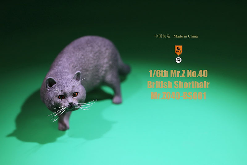 Mr.Z No.040-BS 1/6 British Shorthair Fat Cat Simulation Model Toy Animal Model Static Decoration for 12' Action Figure Ornaments Mr.Z No.040-BS 1/6 British Shorthair Fat Cat Simulation Model Toy Animal Model Static Decoration for 12' Action Figure Ornaments