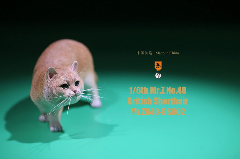 Mr.Z No.040-BS 1/6 British Shorthair Fat Cat Simulation Model Toy Animal Model Static Decoration for 12' Action Figure Ornaments Mr.Z No.040-BS 1/6 British Shorthair Fat Cat Simulation Model Toy Animal Model Static Decoration for 12' Action Figure Ornaments