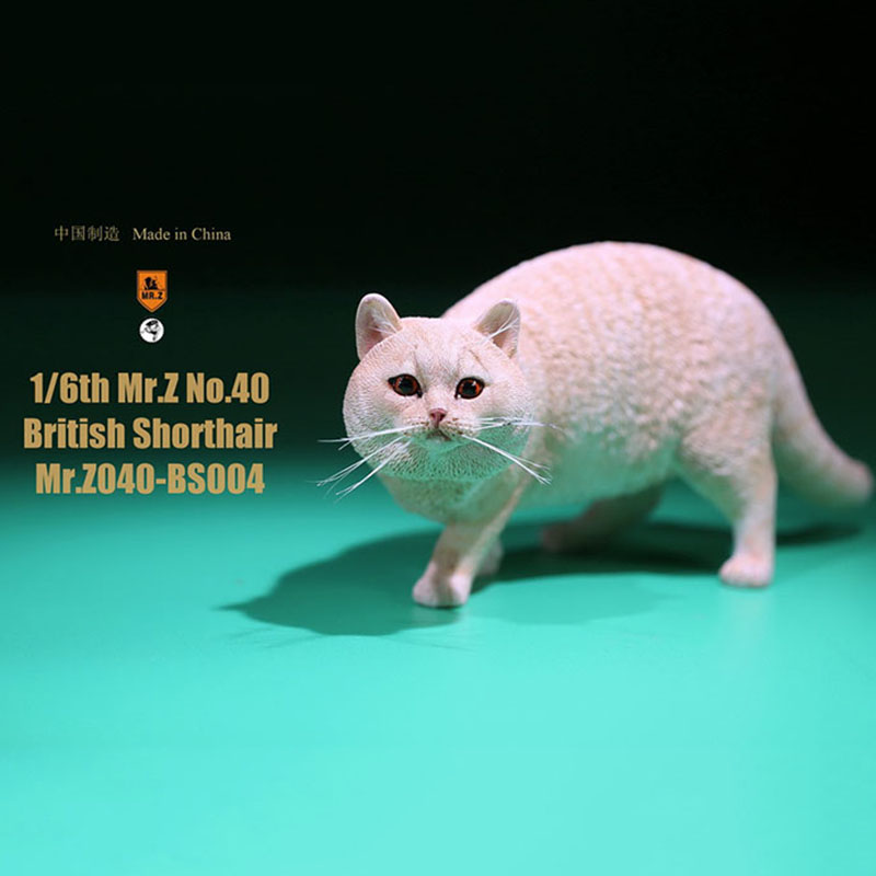 Mr.Z No.040-BS 1/6 British Shorthair Fat Cat Simulation Model Toy Animal Model Static Decoration for 12' Action Figure Ornaments Mr.Z No.040-BS 1/6 British Shorthair Fat Cat Simulation Model Toy Animal Model Static Decoration for 12' Action Figure Ornaments