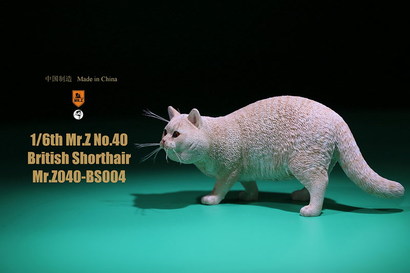 Mr.Z No.040-BS 1/6 British Shorthair Fat Cat Simulation Model Toy Animal Model Static Decoration for 12' Action Figure Ornaments Mr.Z No.040-BS 1/6 British Shorthair Fat Cat Simulation Model Toy Animal Model Static Decoration for 12' Action Figure Ornaments
