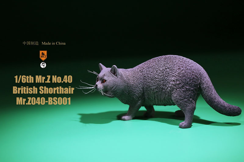 Mr.Z No.040-BS 1/6 British Shorthair Fat Cat Simulation Model Toy Animal Model Static Decoration for 12' Action Figure Ornaments Mr.Z No.040-BS 1/6 British Shorthair Fat Cat Simulation Model Toy Animal Model Static Decoration for 12' Action Figure Ornaments