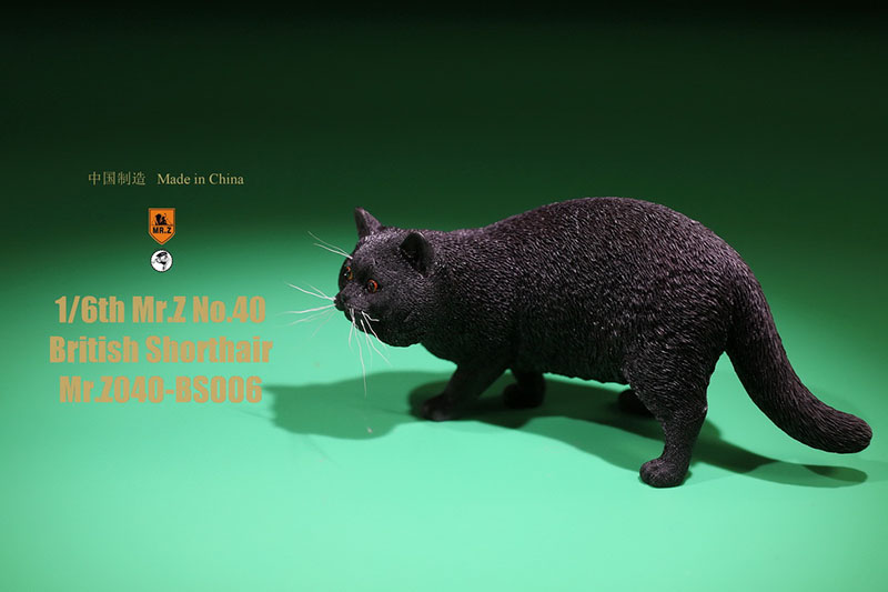Mr.Z No.040-BS 1/6 British Shorthair Fat Cat Simulation Model Toy Animal Model Static Decoration for 12' Action Figure Ornaments Mr.Z No.040-BS 1/6 British Shorthair Fat Cat Simulation Model Toy Animal Model Static Decoration for 12' Action Figure Ornaments