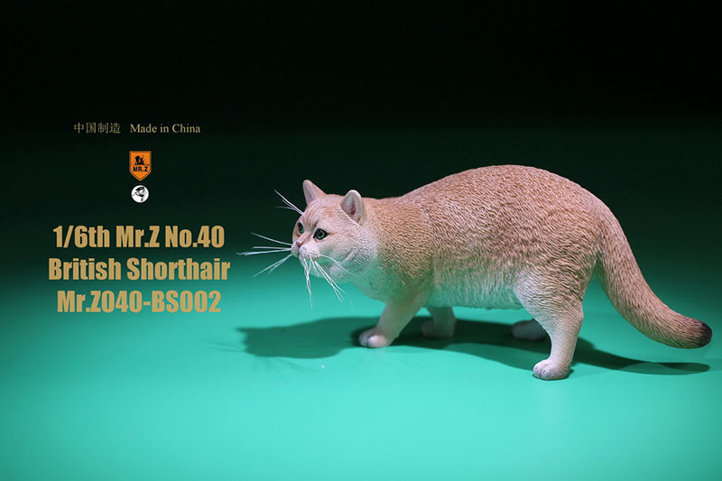Mr.Z No.040-BS 1/6 British Shorthair Fat Cat Simulation Model Toy Animal Model Static Decoration for 12' Action Figure Ornaments Mr.Z No.040-BS 1/6 British Shorthair Fat Cat Simulation Model Toy Animal Model Static Decoration for 12' Action Figure Ornaments