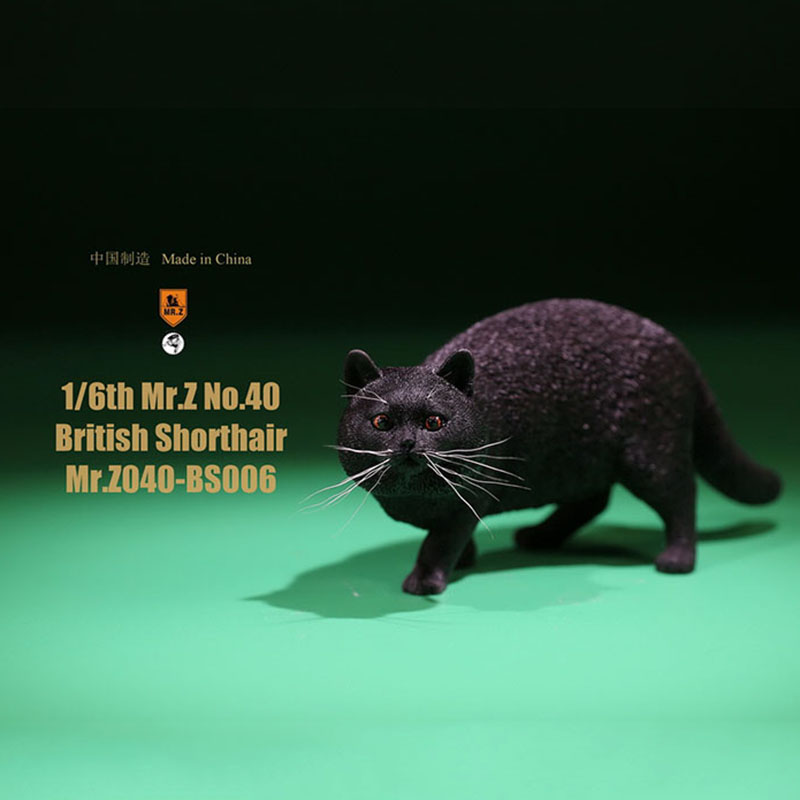 Mr.Z No.040-BS 1/6 British Shorthair Fat Cat Simulation Model Toy Animal Model Static Decoration for 12' Action Figure Ornaments Mr.Z No.040-BS 1/6 British Shorthair Fat Cat Simulation Model Toy Animal Model Static Decoration for 12' Action Figure Ornaments