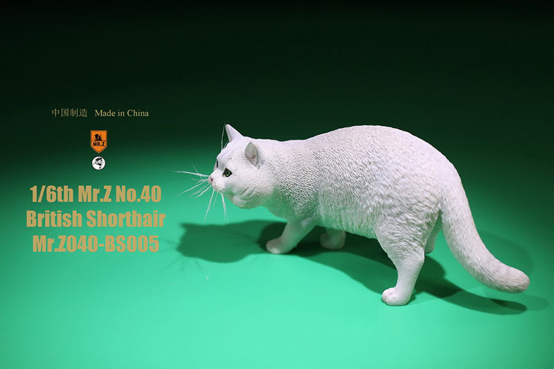 Mr.Z No.040-BS 1/6 British Shorthair Fat Cat Simulation Model Toy Animal Model Static Decoration for 12' Action Figure Ornaments Mr.Z No.040-BS 1/6 British Shorthair Fat Cat Simulation Model Toy Animal Model Static Decoration for 12' Action Figure Ornaments
