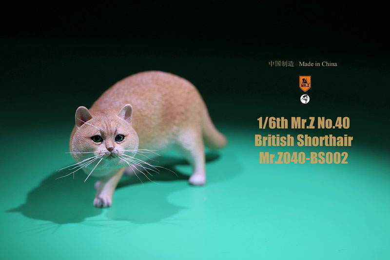 Mr.Z No.040-BS 1/6 British Shorthair Fat Cat Simulation Model Toy Animal Model Static Decoration for 12' Action Figure Ornaments Mr.Z No.040-BS 1/6 British Shorthair Fat Cat Simulation Model Toy Animal Model Static Decoration for 12' Action Figure Ornaments