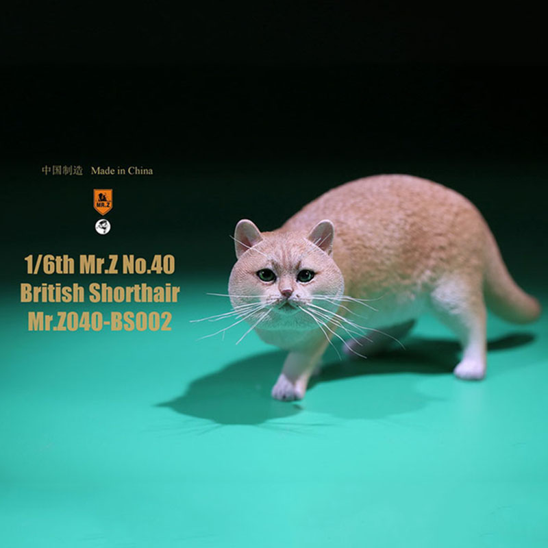 Mr.Z No.040-BS 1/6 British Shorthair Fat Cat Simulation Model Toy Animal Model Static Decoration for 12' Action Figure Ornaments Mr.Z No.040-BS 1/6 British Shorthair Fat Cat Simulation Model Toy Animal Model Static Decoration for 12' Action Figure Ornaments