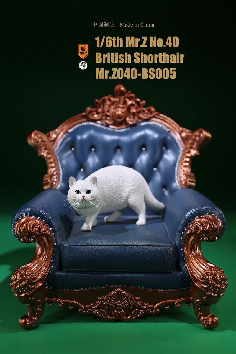 Mr.Z No.040-BS 1/6 British Shorthair Fat Cat Simulation Model Toy Animal Model Static Decoration for 12' Action Figure Ornaments Mr.Z No.040-BS 1/6 British Shorthair Fat Cat Simulation Model Toy Animal Model Static Decoration for 12' Action Figure Ornaments