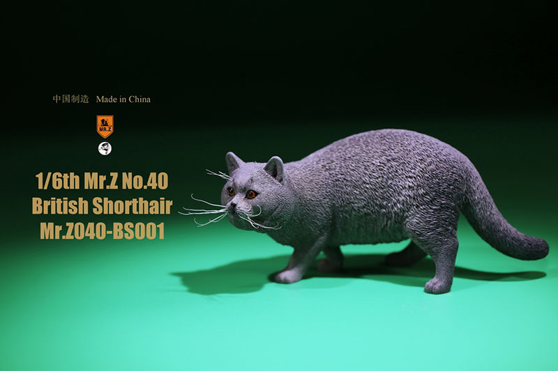 Mr.Z No.040-BS 1/6 British Shorthair Fat Cat Simulation Model Toy Animal Model Static Decoration for 12' Action Figure Ornaments Mr.Z No.040-BS 1/6 British Shorthair Fat Cat Simulation Model Toy Animal Model Static Decoration for 12' Action Figure Ornaments