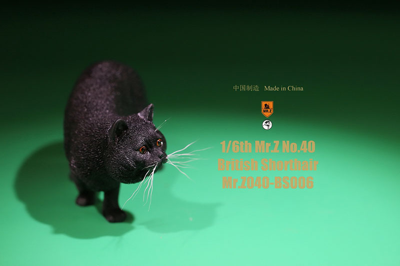 Mr.Z No.040-BS 1/6 British Shorthair Fat Cat Simulation Model Toy Animal Model Static Decoration for 12' Action Figure Ornaments Mr.Z No.040-BS 1/6 British Shorthair Fat Cat Simulation Model Toy Animal Model Static Decoration for 12' Action Figure Ornaments