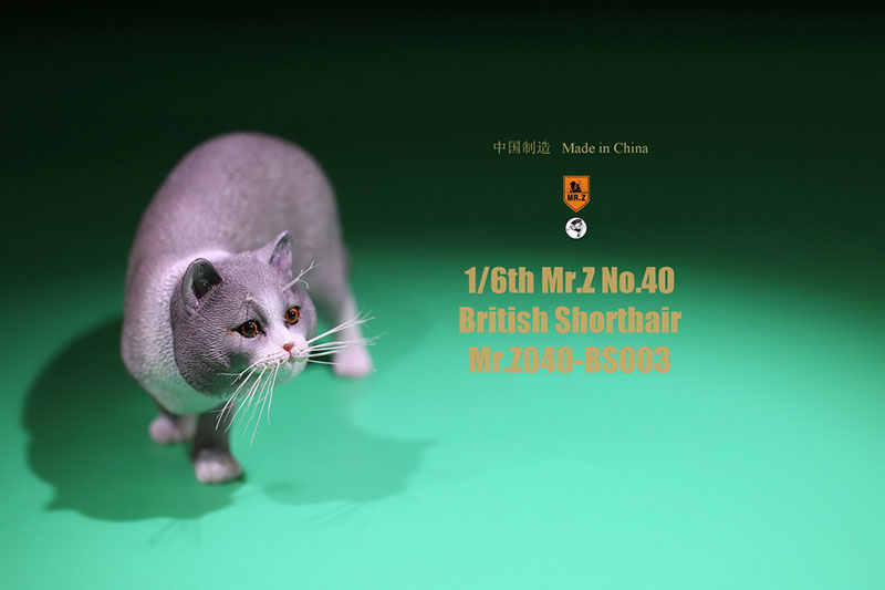 Mr.Z No.040-BS 1/6 British Shorthair Fat Cat Simulation Model Toy Animal Model Static Decoration for 12' Action Figure Ornaments Mr.Z No.040-BS 1/6 British Shorthair Fat Cat Simulation Model Toy Animal Model Static Decoration for 12' Action Figure Ornaments