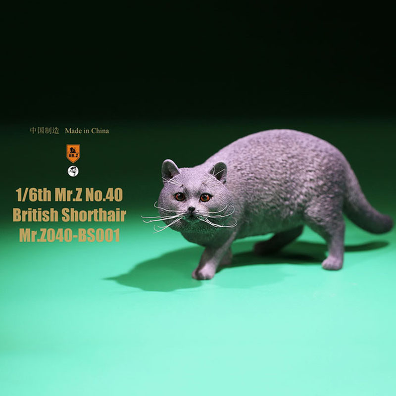 Mr.Z No.040-BS 1/6 British Shorthair Fat Cat Simulation Model Toy Animal Model Static Decoration for 12' Action Figure Ornaments Mr.Z No.040-BS 1/6 British Shorthair Fat Cat Simulation Model Toy Animal Model Static Decoration for 12' Action Figure Ornaments