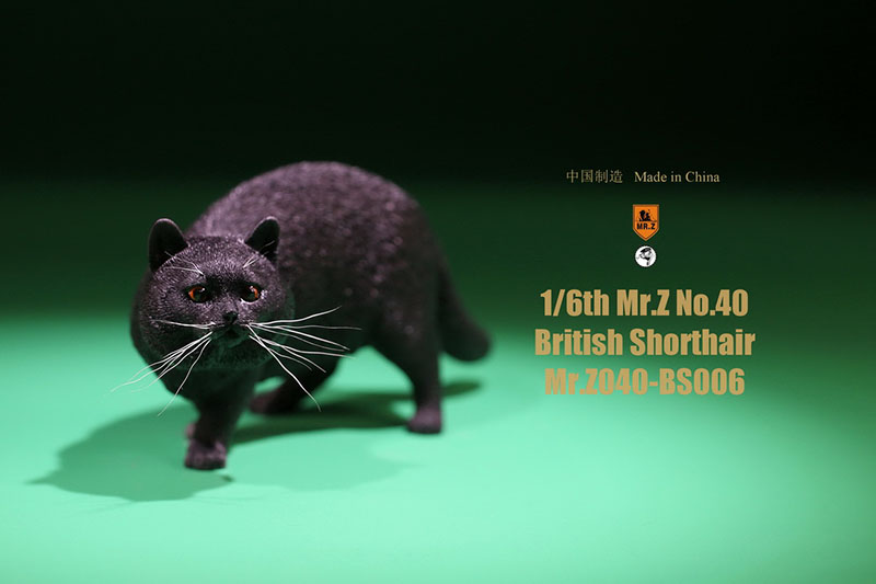 Mr.Z No.040-BS 1/6 British Shorthair Fat Cat Simulation Model Toy Animal Model Static Decoration for 12' Action Figure Ornaments Mr.Z No.040-BS 1/6 British Shorthair Fat Cat Simulation Model Toy Animal Model Static Decoration for 12' Action Figure Ornaments
