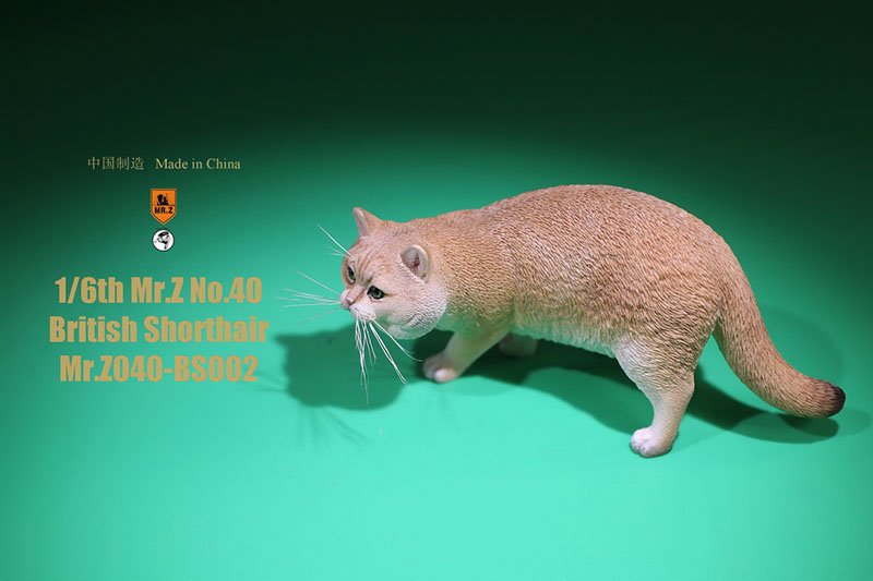 Mr.Z No.040-BS 1/6 British Shorthair Fat Cat Simulation Model Toy Animal Model Static Decoration for 12' Action Figure Ornaments Mr.Z No.040-BS 1/6 British Shorthair Fat Cat Simulation Model Toy Animal Model Static Decoration for 12' Action Figure Ornaments