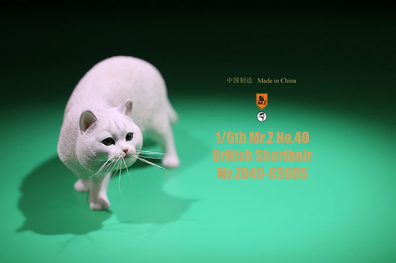 Mr.Z No.040-BS 1/6 British Shorthair Fat Cat Simulation Model Toy Animal Model Static Decoration for 12' Action Figure Ornaments Mr.Z No.040-BS 1/6 British Shorthair Fat Cat Simulation Model Toy Animal Model Static Decoration for 12' Action Figure Ornaments