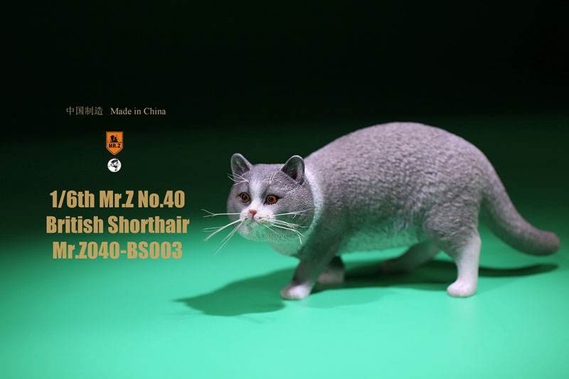 Mr.Z No.040-BS 1/6 British Shorthair Fat Cat Simulation Model Toy Animal Model Static Decoration for 12' Action Figure Ornaments Mr.Z No.040-BS 1/6 British Shorthair Fat Cat Simulation Model Toy Animal Model Static Decoration for 12' Action Figure Ornaments