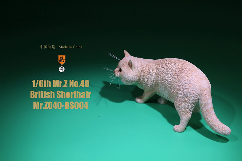 Mr.Z No.040-BS 1/6 British Shorthair Fat Cat Simulation Model Toy Animal Model Static Decoration for 12' Action Figure Ornaments Mr.Z No.040-BS 1/6 British Shorthair Fat Cat Simulation Model Toy Animal Model Static Decoration for 12' Action Figure Ornaments