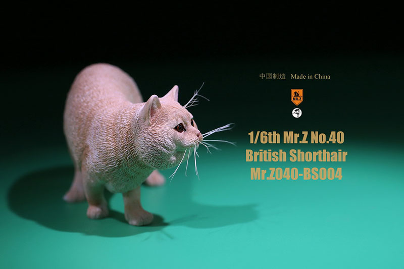 Mr.Z No.040-BS 1/6 British Shorthair Fat Cat Simulation Model Toy Animal Model Static Decoration for 12' Action Figure Ornaments Mr.Z No.040-BS 1/6 British Shorthair Fat Cat Simulation Model Toy Animal Model Static Decoration for 12' Action Figure Ornaments