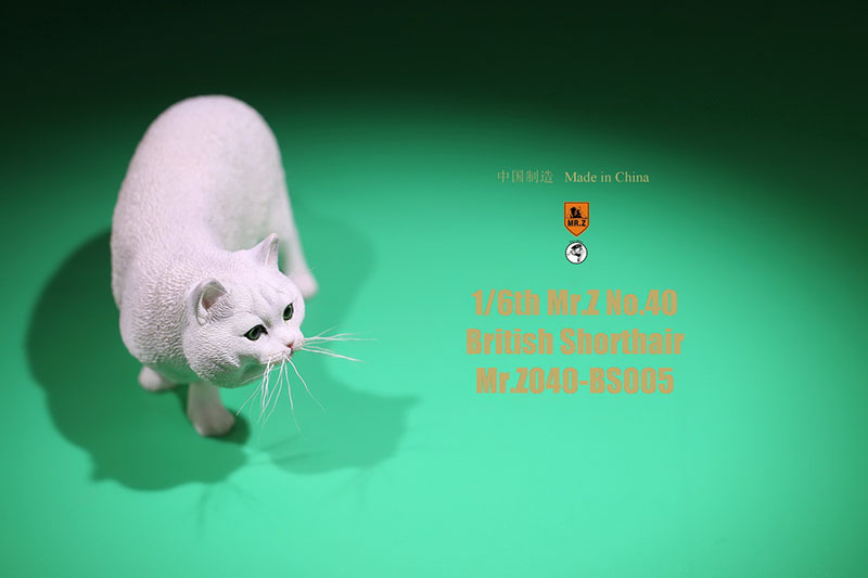 Mr.Z No.040-BS 1/6 British Shorthair Fat Cat Simulation Model Toy Animal Model Static Decoration for 12' Action Figure Ornaments Mr.Z No.040-BS 1/6 British Shorthair Fat Cat Simulation Model Toy Animal Model Static Decoration for 12' Action Figure Ornaments