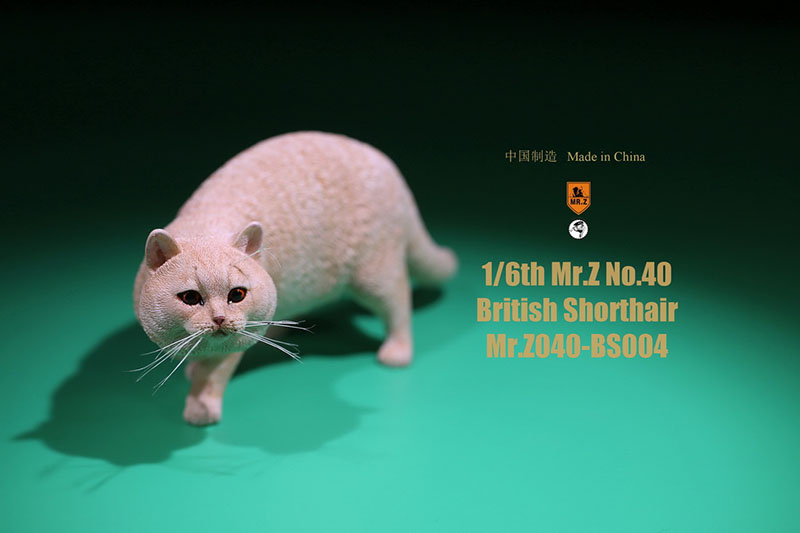 Mr.Z No.040-BS 1/6 British Shorthair Fat Cat Simulation Model Toy Animal Model Static Decoration for 12' Action Figure Ornaments Mr.Z No.040-BS 1/6 British Shorthair Fat Cat Simulation Model Toy Animal Model Static Decoration for 12' Action Figure Ornaments